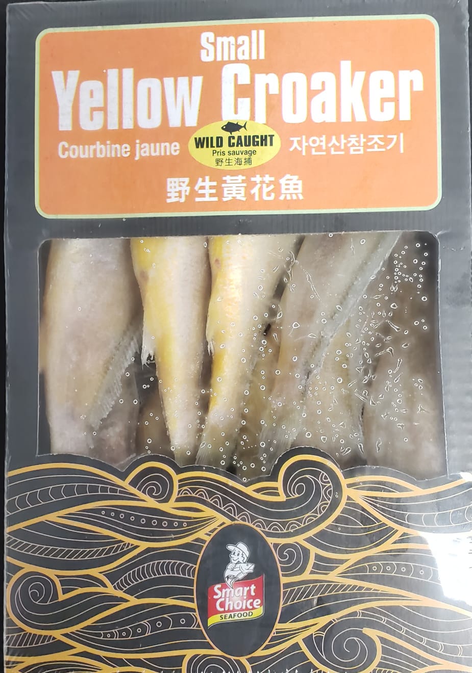Small Yellow Croaker